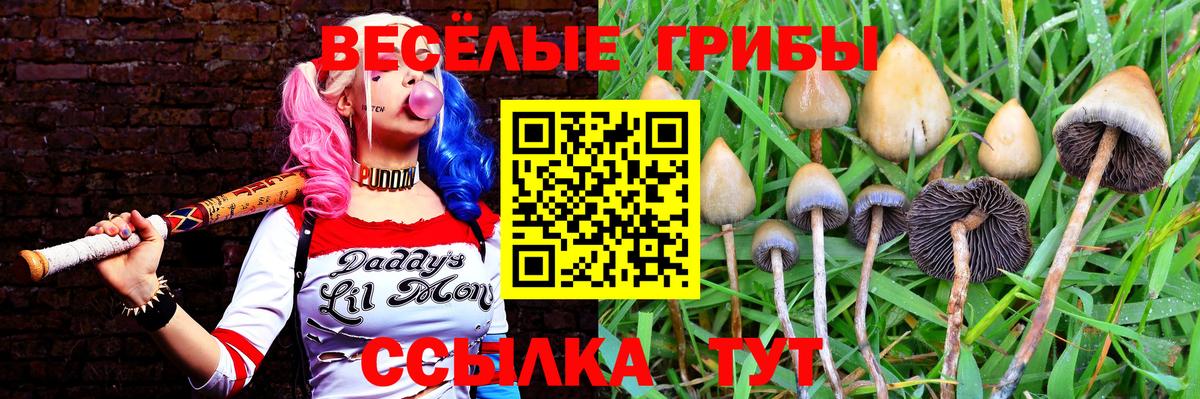 Галлюциногенные грибы Cubensis  Псилоцибиновые грибы мицелий  Воркута  где продают наркотики  Вход с VPN 