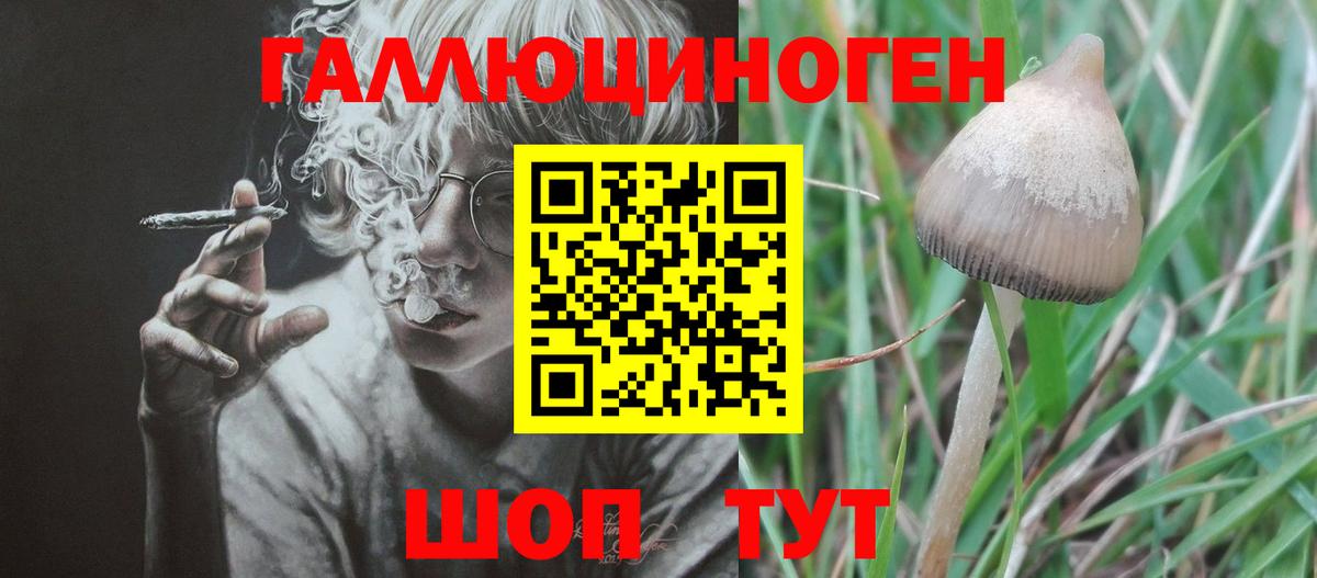Галлюциногенные грибы Cubensis Воркута